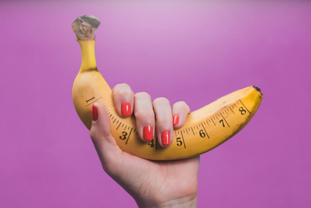 La taille optimale du pénis
